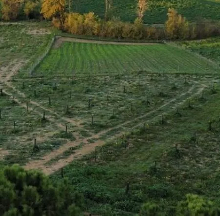 Agriturismo La Terrazza Sul Mangia *